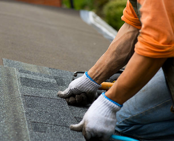 Best Metal Roofing Contractor  in Eagle River, WI