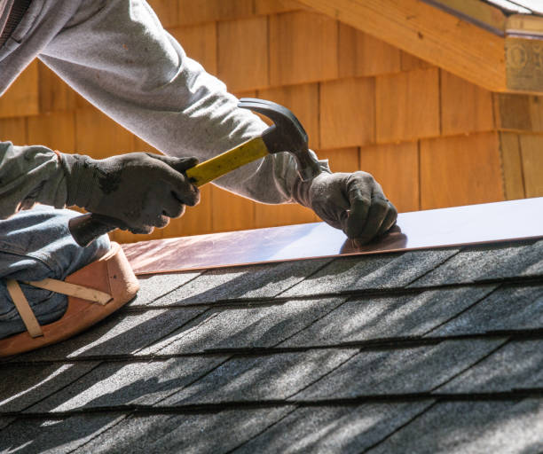 Best Roof Gutter Cleaning  in Eagle River, WI